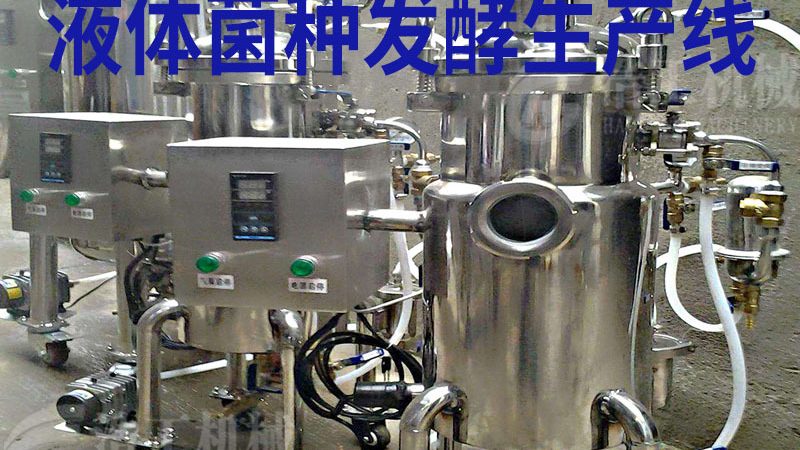 冷冻干燥机：食品饮料行业的关键设备解析
